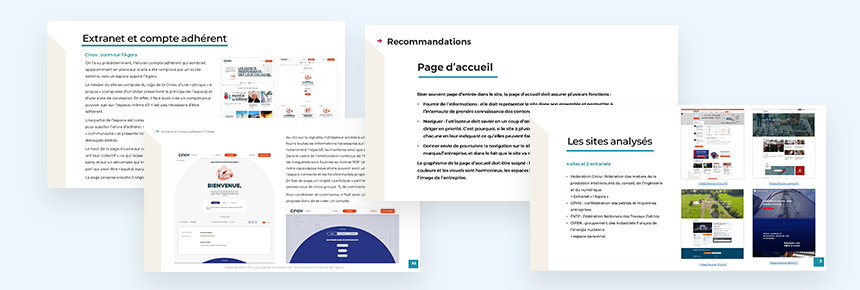 Présentation de pages extraites d'un rapport d'audit des concurrents 